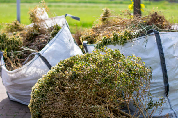 Best Same-Day Junk Removal  in Ridgely, TN